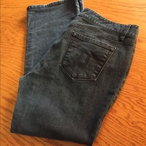 ANN TAYLOR LOFT jeans, size 14P